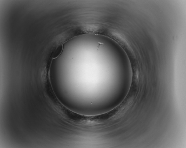 X0000088850498200706081137