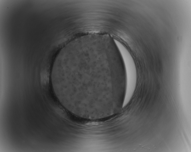 X0000088850499200706081137