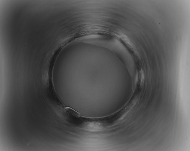 X0000088850500200706081137