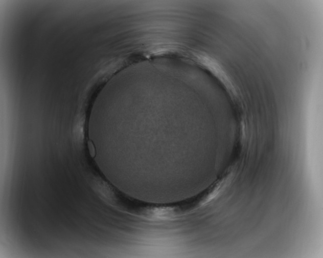 X0000088850501200706081137