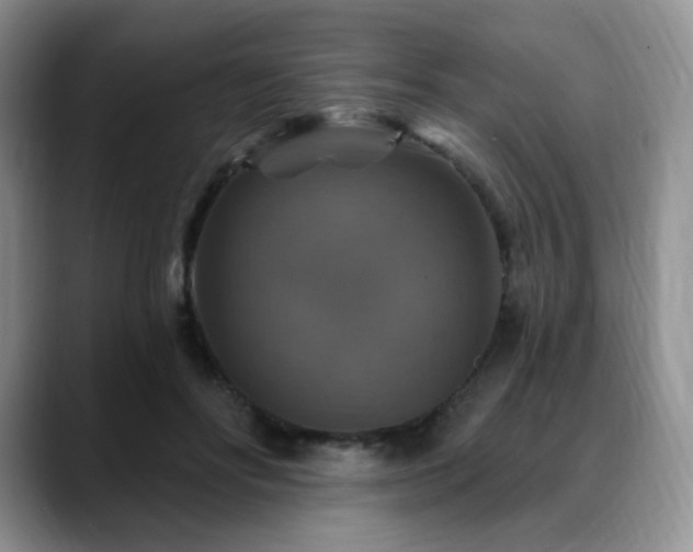 X0000088850502200706081137