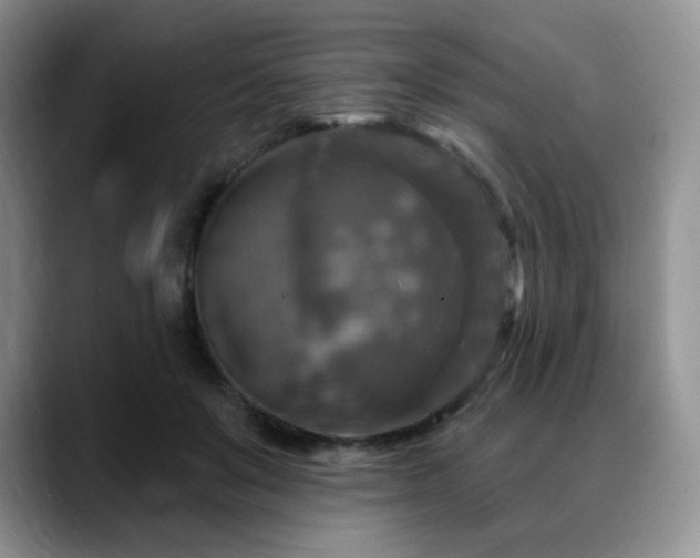 X0000088850503200706081137