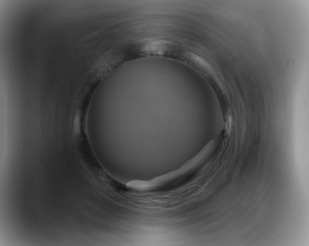 X0000088850504200706081137