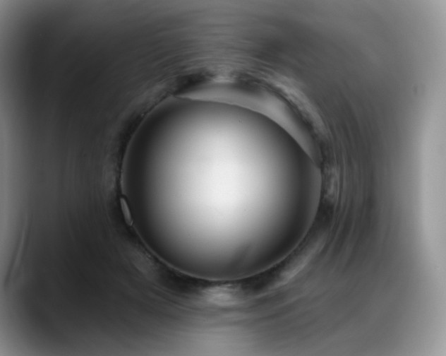 X0000088850505200706081137
