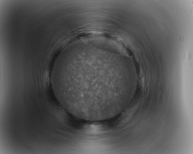 X0000088850506200706081137