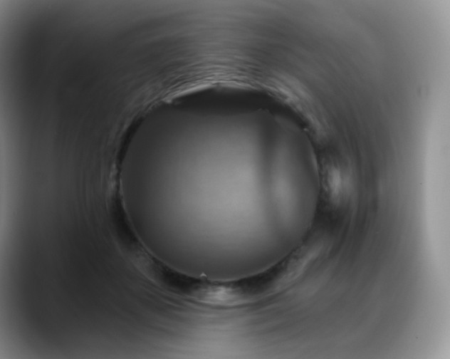 X0000088850507200706081137