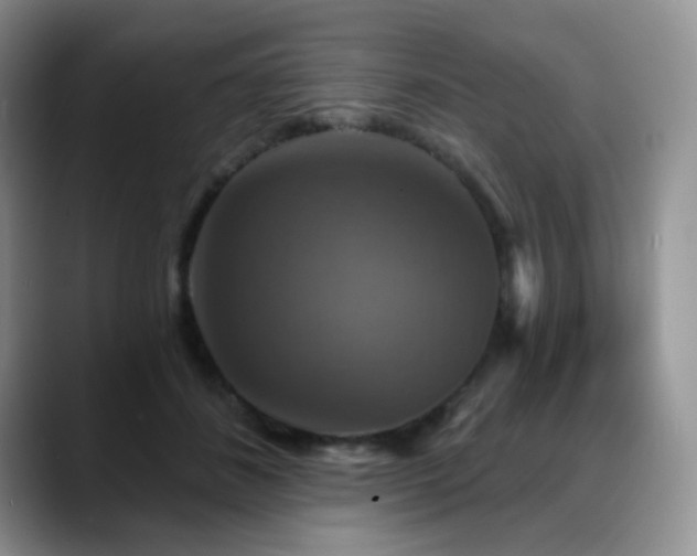 X0000088850508200706081137