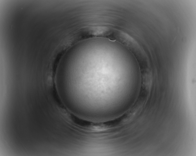 X0000088850510200706081137