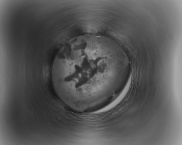 X0000088850511200706081137