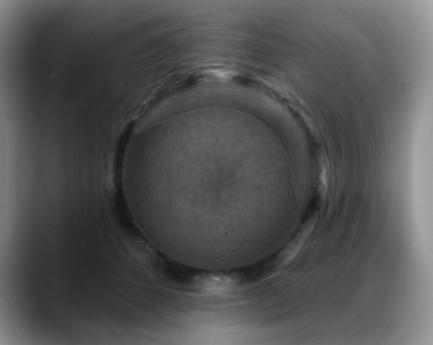 X0000088850512200706081137