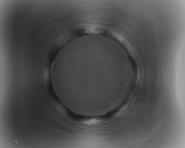 X0000088850513200706081137