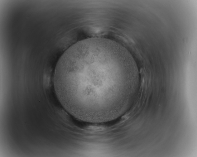 X0000088850515200706081137