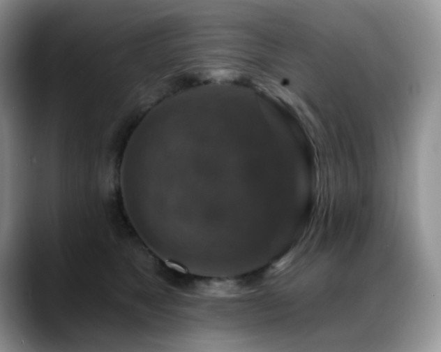 X0000088850517200706081137