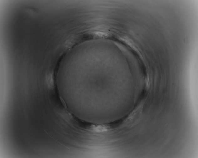X0000088850520200706081137