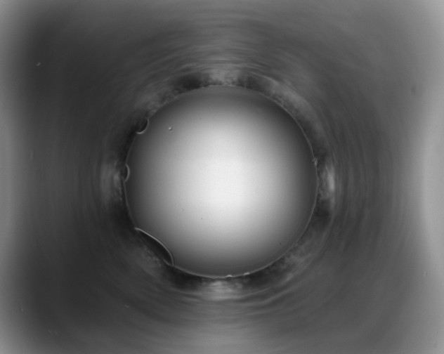 X0000088850522200706081137