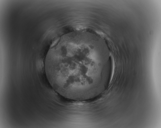 X0000088850523200706081137