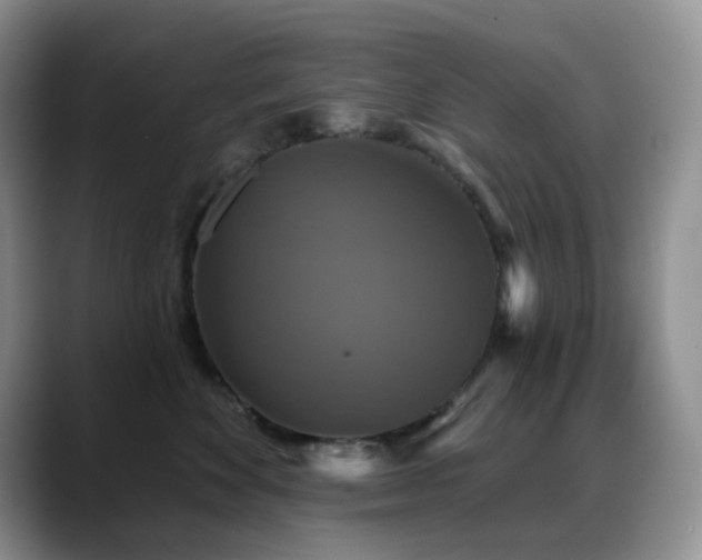X0000088850524200706081137