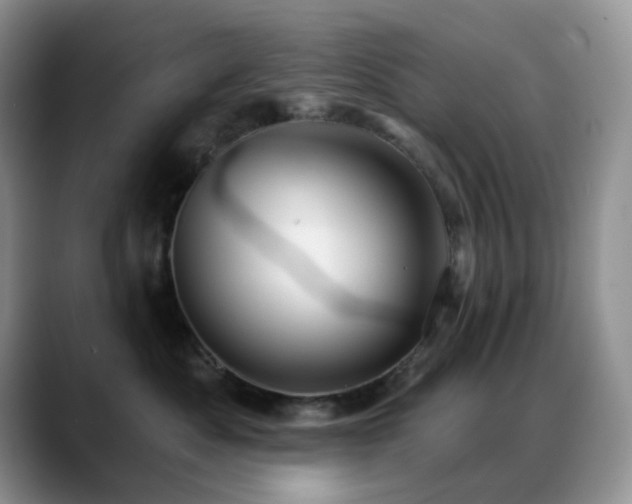 X0000088850525200706081137