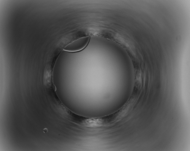 X0000088850526200706081137