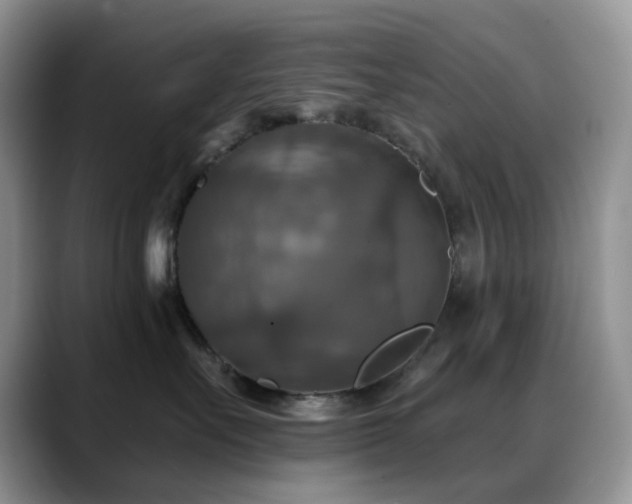 X0000088850527200706081137