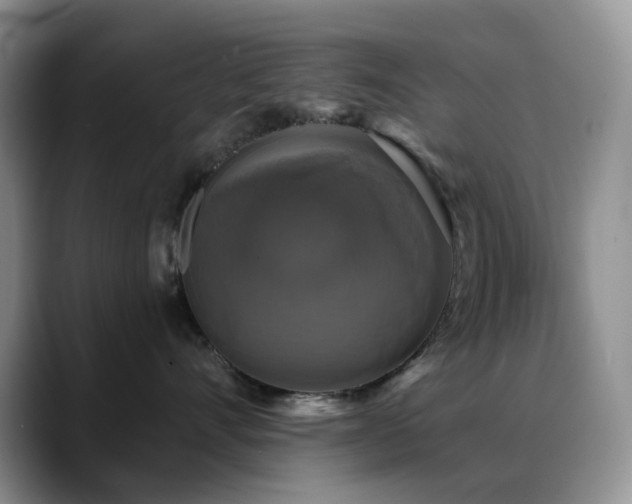 X0000088850528200706081137