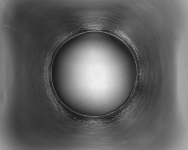 X0000088850529200706081136