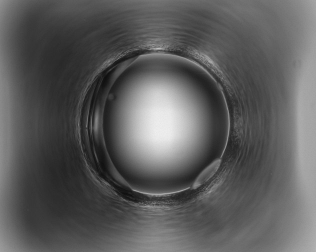 X0000088850530200706081136