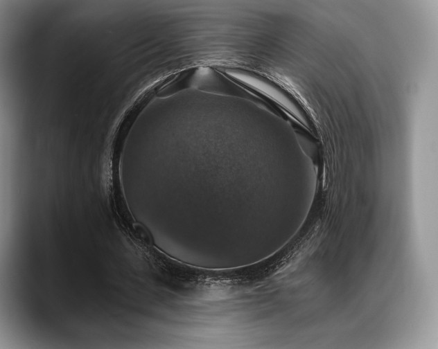 X0000088850531200706081136