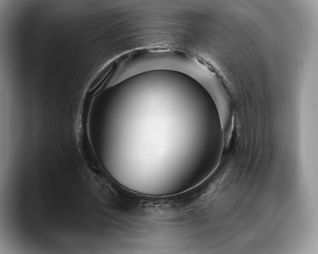 X0000088850532200706081136