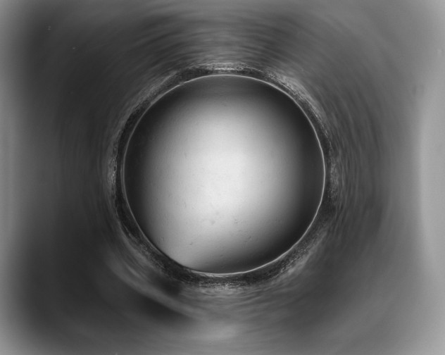X0000088850533200706081136