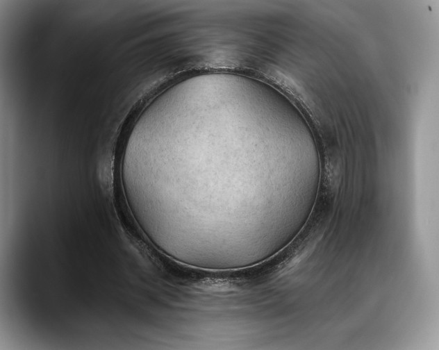 X0000088850534200706081136