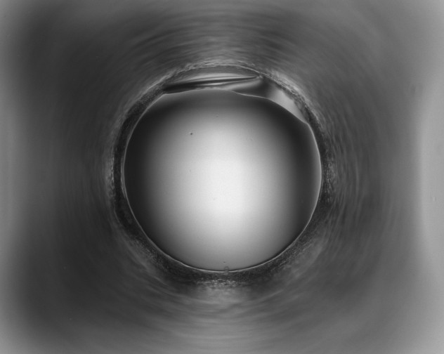 X0000088850535200706081136