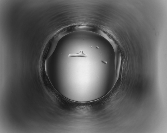 X0000088850536200706081136