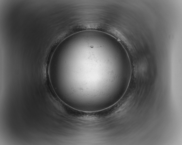 X0000088850537200706081136