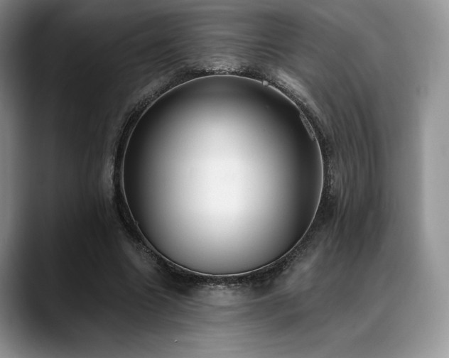 X0000088850538200706081136
