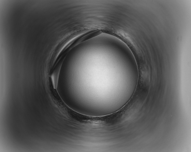 X0000088850539200706081136
