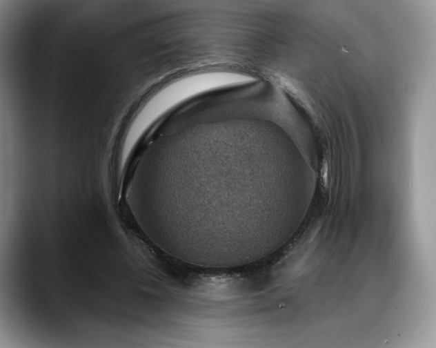X0000088850540200706081136