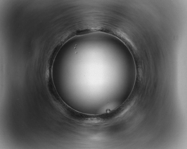 X0000088850541200706081136