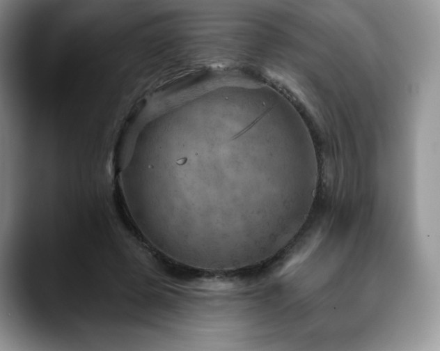 X0000088850545200706081136