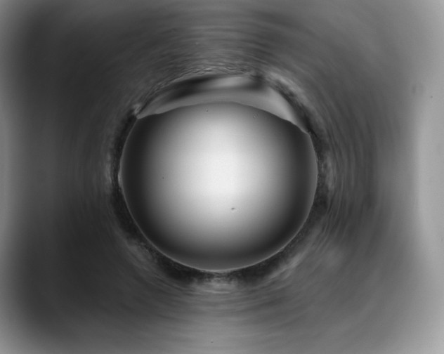 X0000088850546200706081136