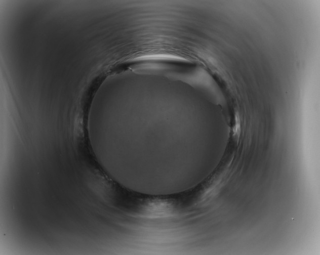 X0000088850547200706081136