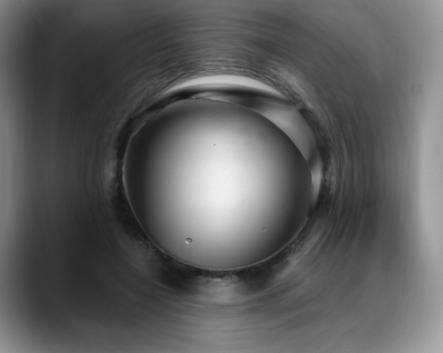 X0000088850548200706081136