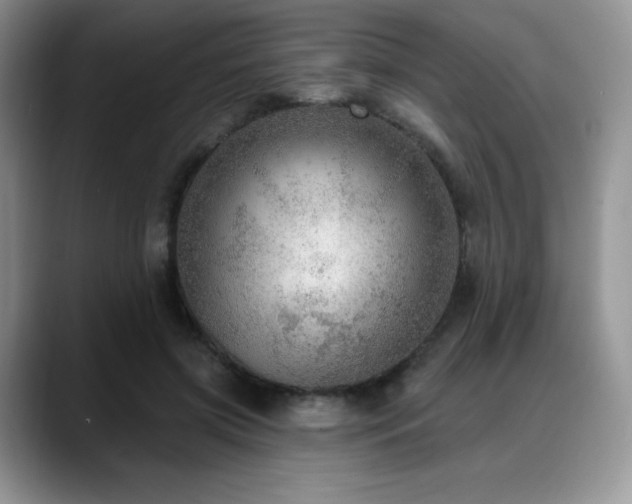 X0000088850549200706081136