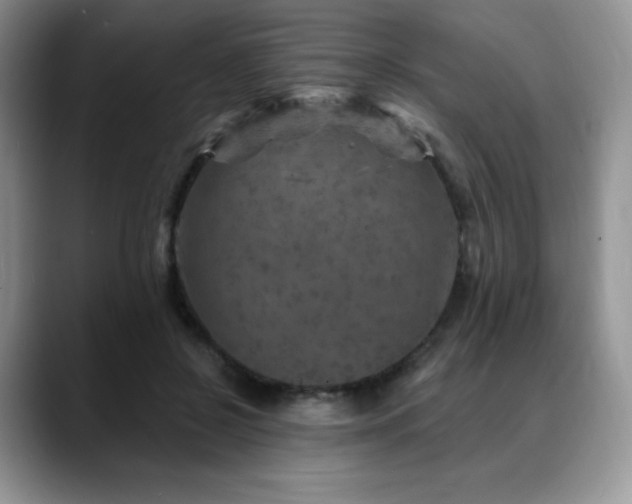 X0000088850550200706081136