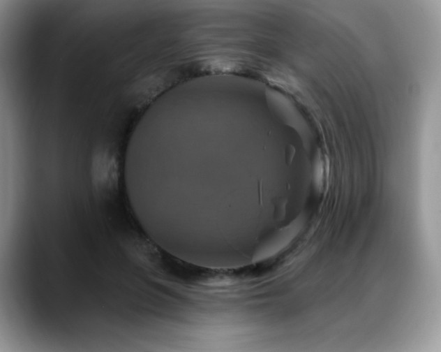 X0000088850551200706081136