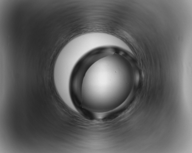 X0000088850552200706081137