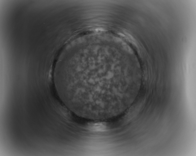 X0000088850553200706081137