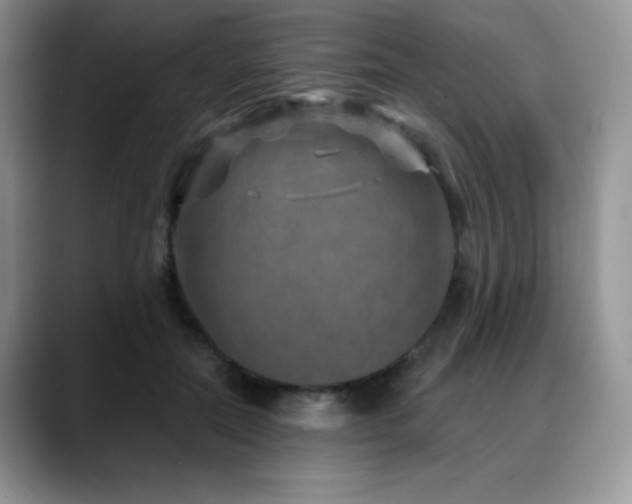 X0000088850554200706081137