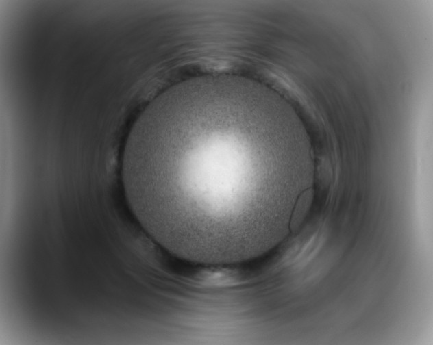 X0000088850557200706081137