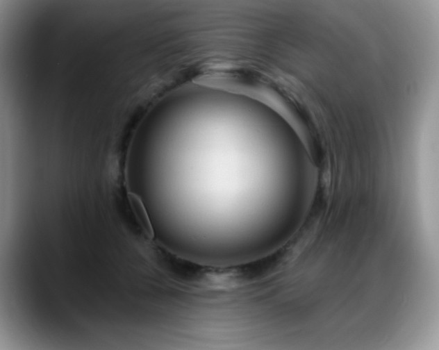 X0000088850560200706081137